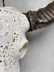 Caved Waterbuffalo Skulls with Flower Mandala Carving Skull,A/170