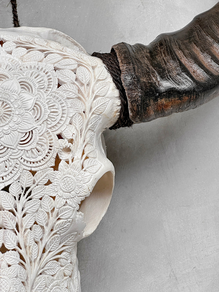 Caved Waterbuffalo Skulls with Flower Mandala Carving Skull,A/170