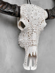 Caved Waterbuffalo Skulls with Flower Mandala Carving Skull,A/170