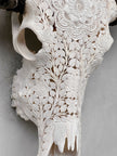 Caved Waterbuffalo Skulls with Flower Mandala Carving Skull,A/170
