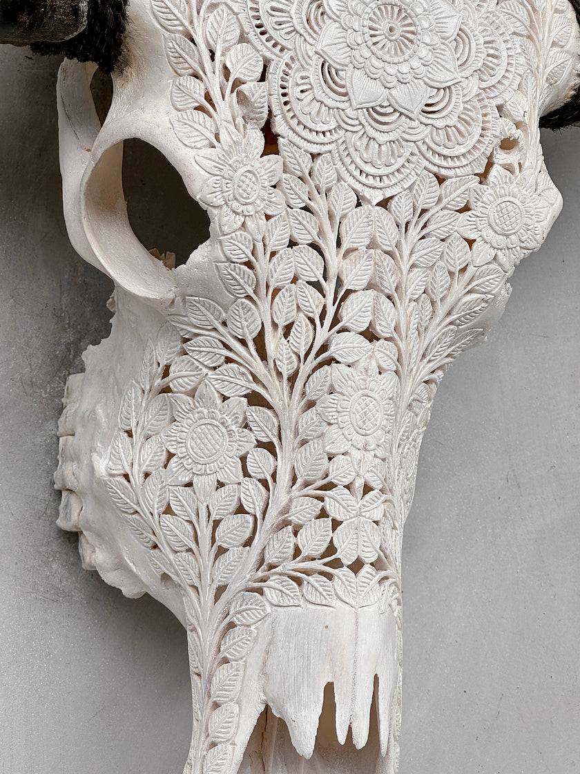 Caved Waterbuffalo Skulls with Flower Mandala Carving Skull,A/170