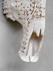 Caved Waterbuffalo Skulls with Flower Mandala Carving Skull,A/170
