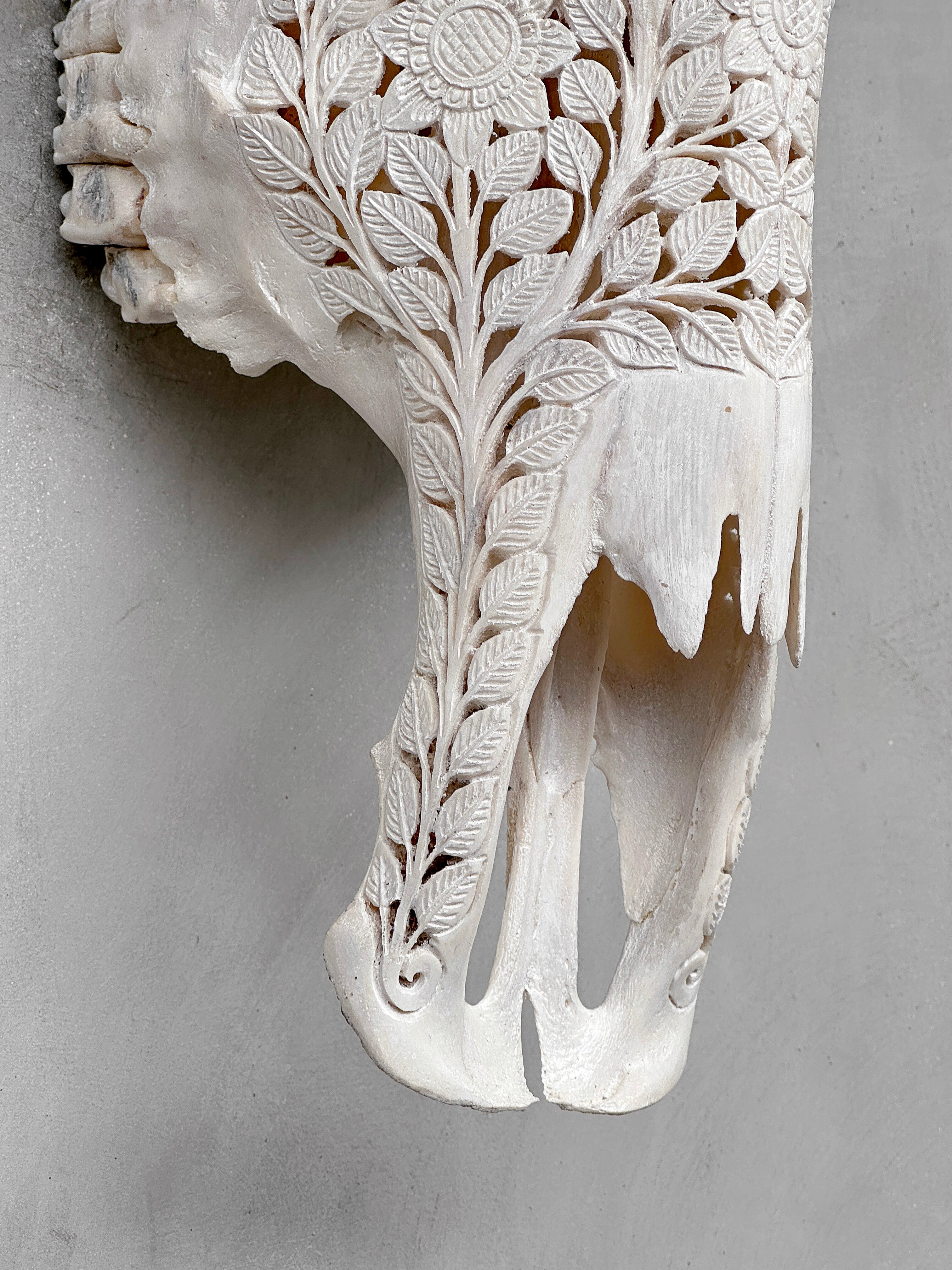 Caved Waterbuffalo Skulls with Flower Mandala Carving Skull,A/170