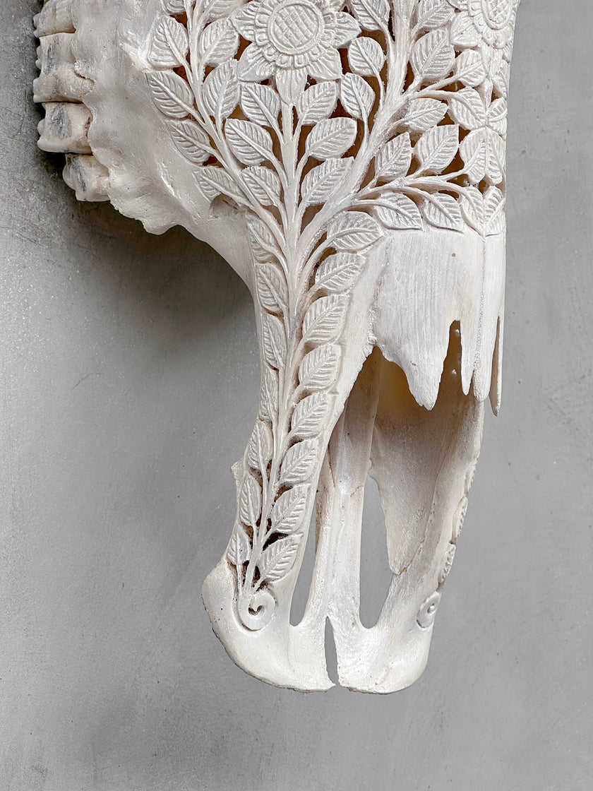 Caved Waterbuffalo Skulls with Flower Mandala Carving Skull,A/170