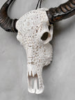 Caved Waterbuffalo Skulls with Flower Mandala Carving Skull,A/170