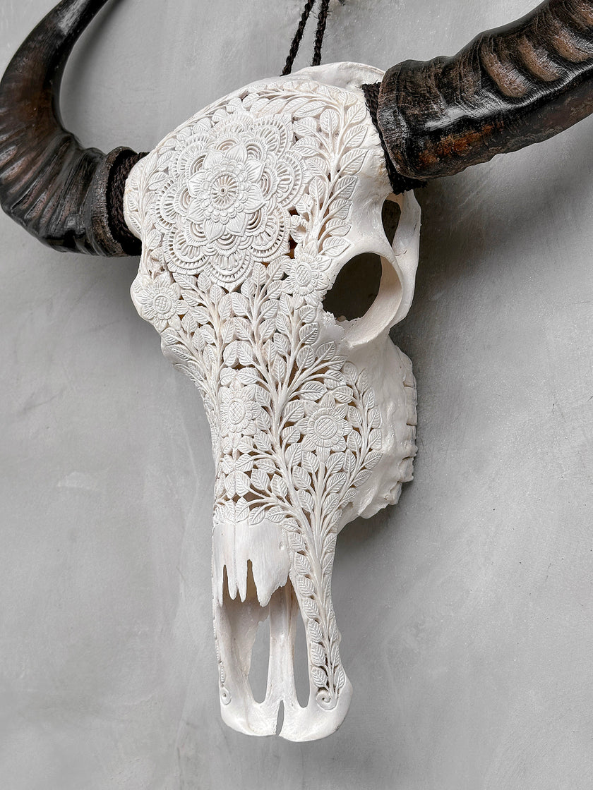 Caved Waterbuffalo Skulls with Flower Mandala Carving Skull,A/170