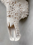 Caved Waterbuffalo Skulls with Flower Mandala Carving Skull,A/170
