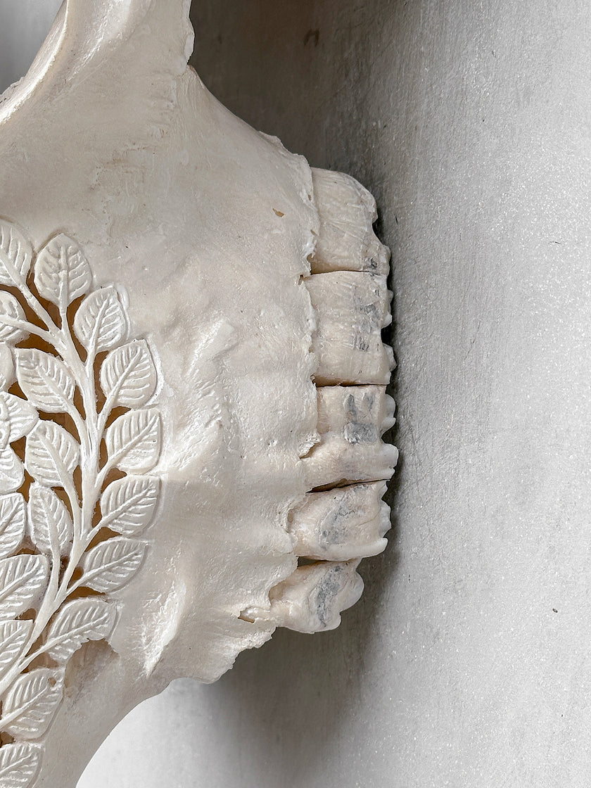 Caved Waterbuffalo Skulls with Flower Mandala Carving Skull,A/170
