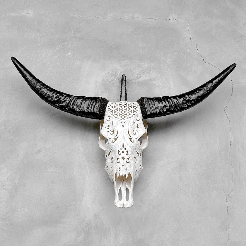 White Carved Buffalo Skulls with Flower Of Life motif | Skull,A/177