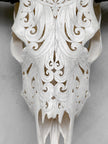 White Carved Buffalo Skulls with Flower Of Life motif | Skull,A/177
