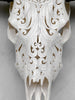 White Carved Buffalo Skulls with Flower Of Life motif | Skull,A/177