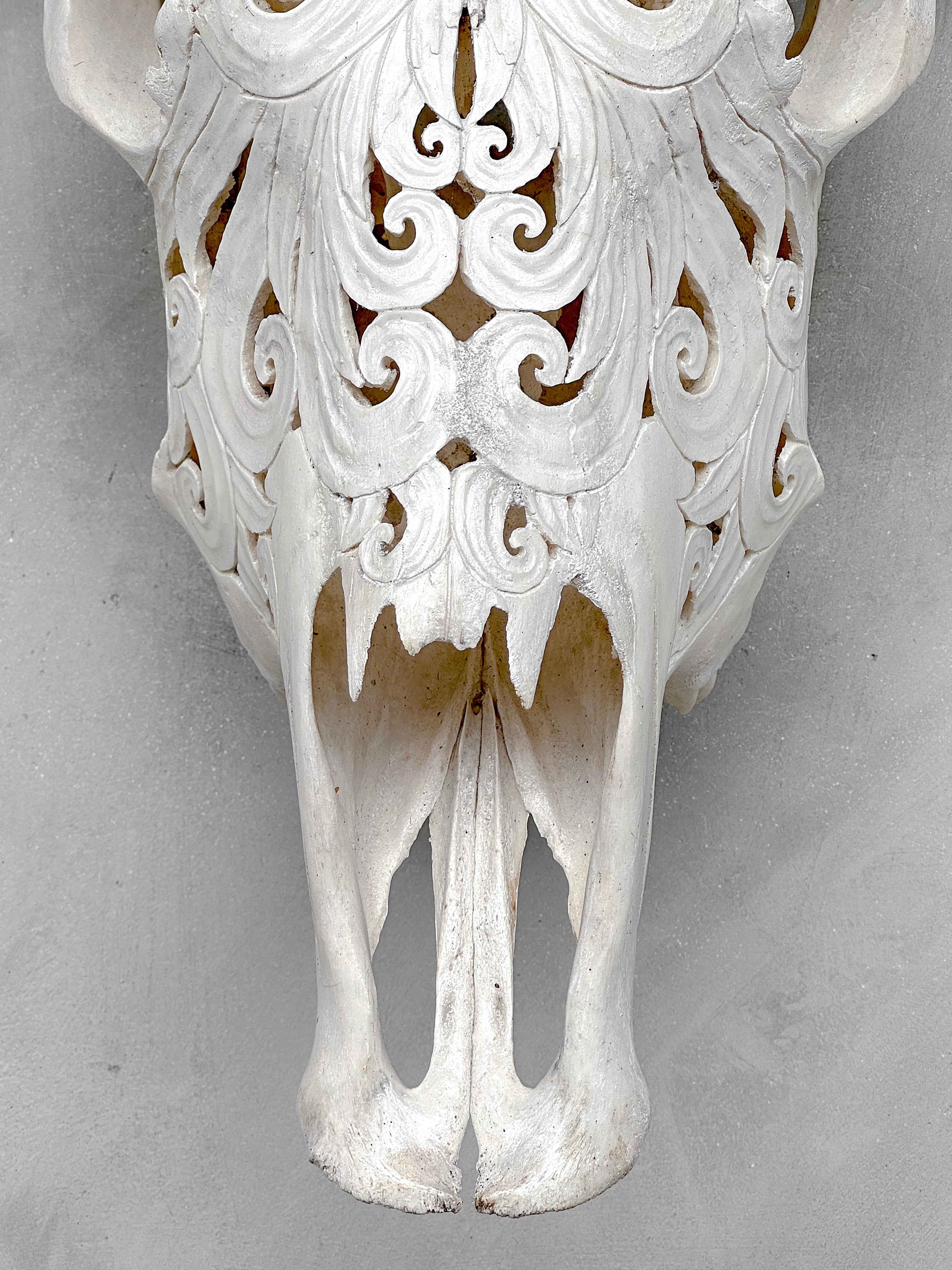 White Carved Buffalo Skulls with Flower Of Life motif | Skull,A/177
