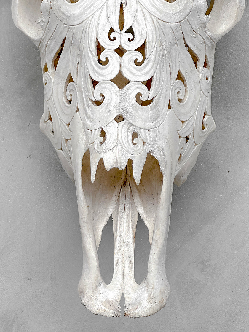 White Carved Buffalo Skulls with Flower Of Life motif | Skull,A/177
