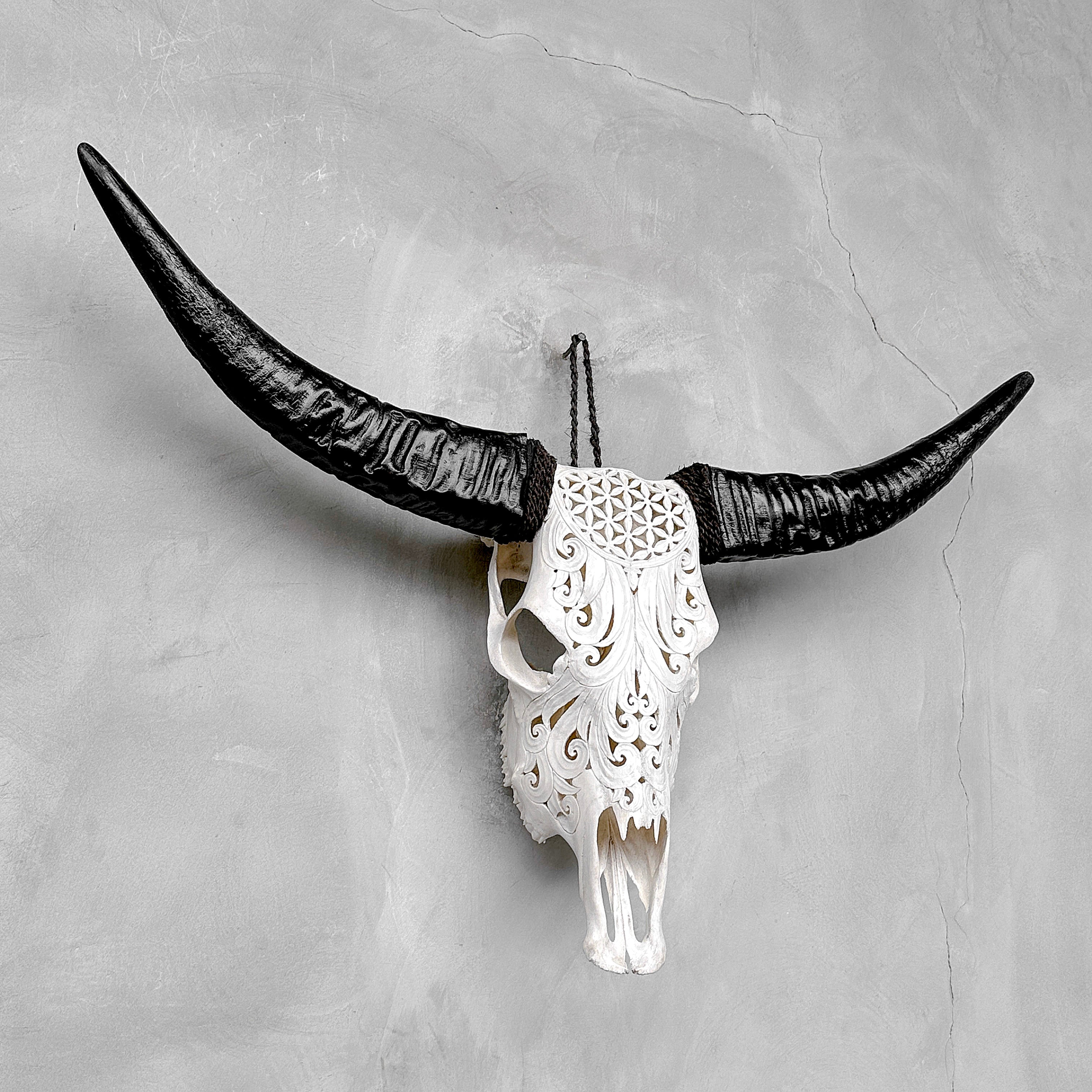 White Carved Buffalo Skulls with Flower Of Life motif | Skull,A/177