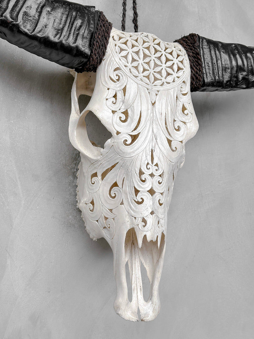 White Carved Buffalo Skulls with Flower Of Life motif | Skull,A/177