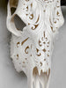 White Carved Buffalo Skulls with Flower Of Life motif | Skull,A/177