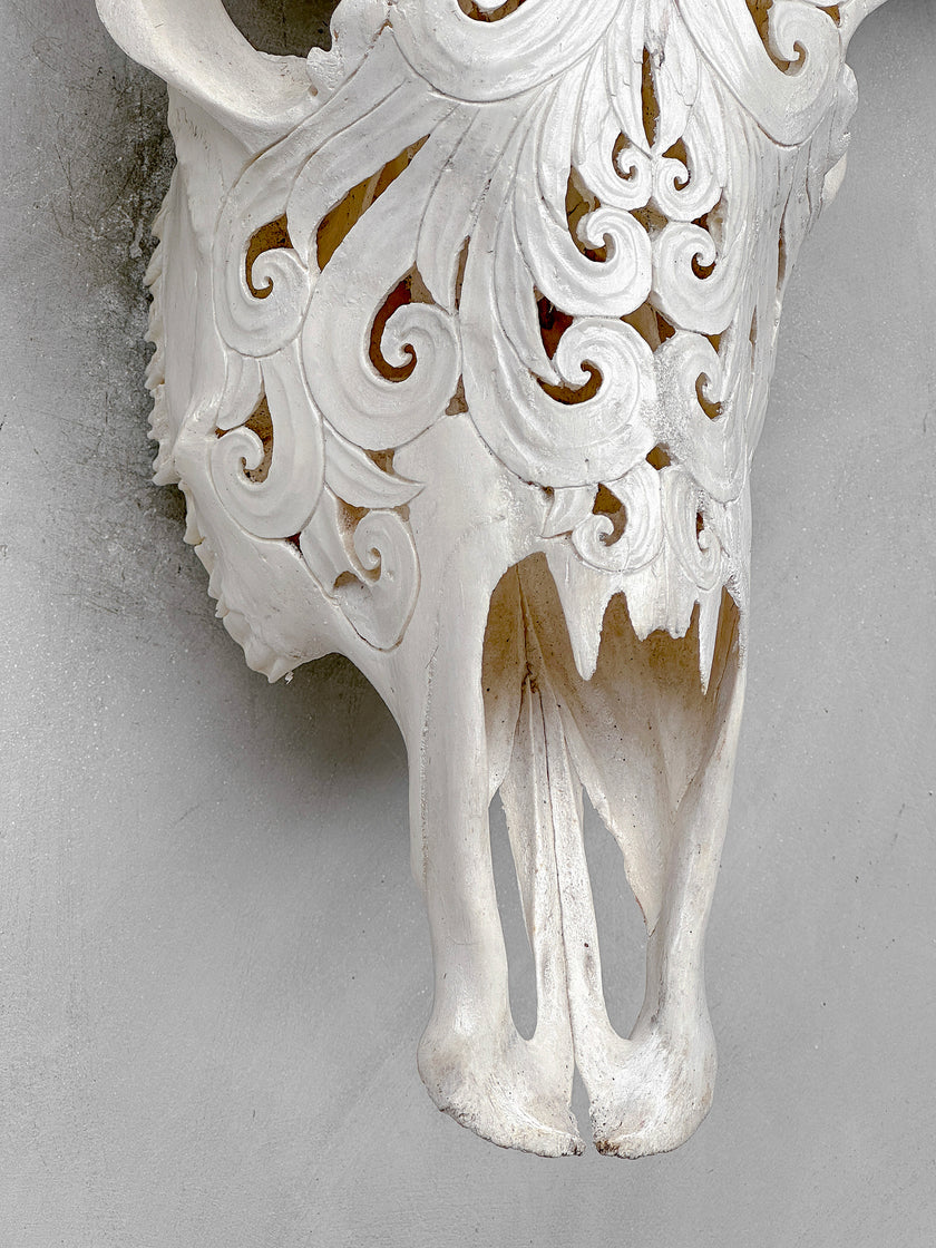 White Carved Buffalo Skulls with Flower Of Life motif | Skull,A/177