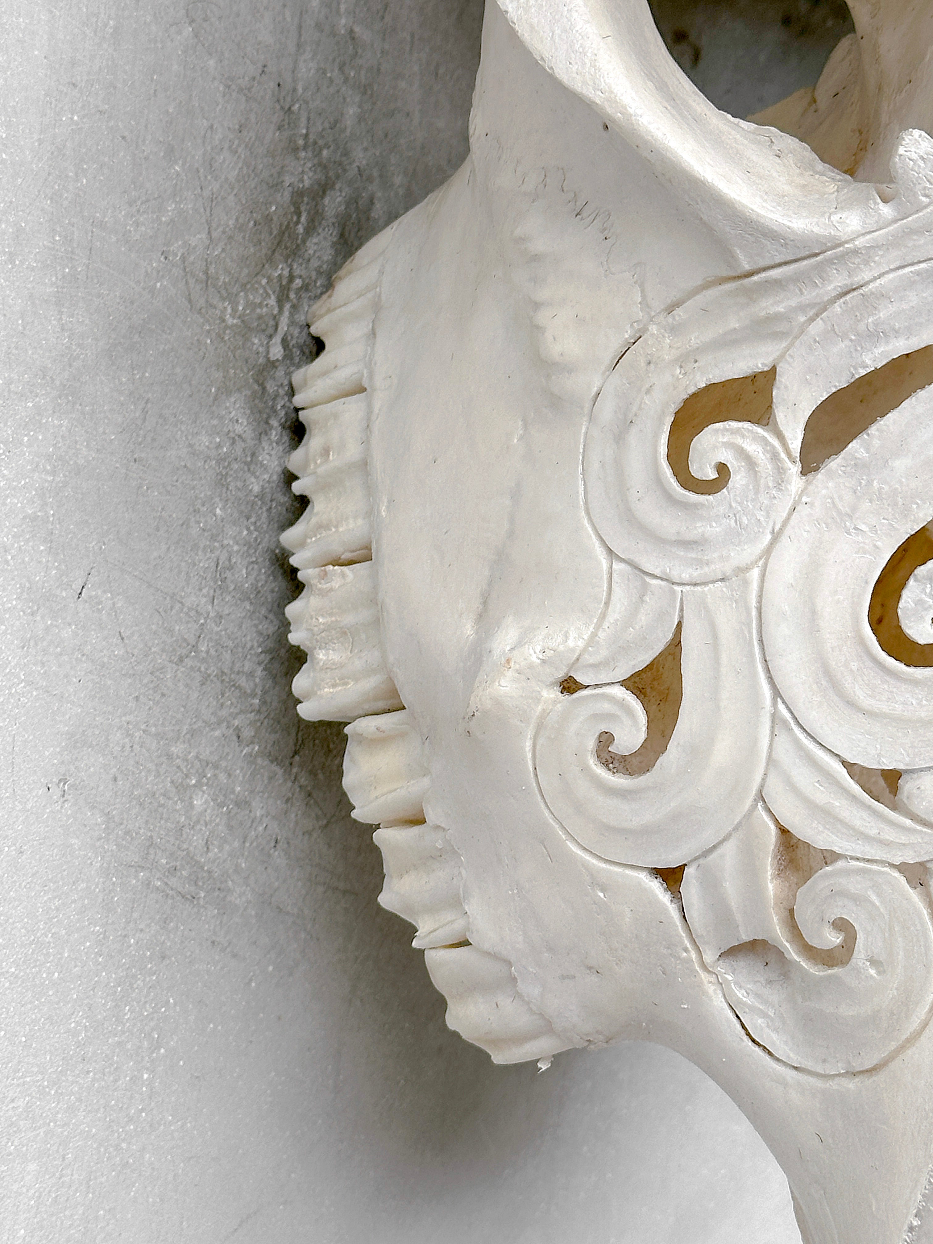 White Carved Buffalo Skulls with Flower Of Life motif | Skull,A/177