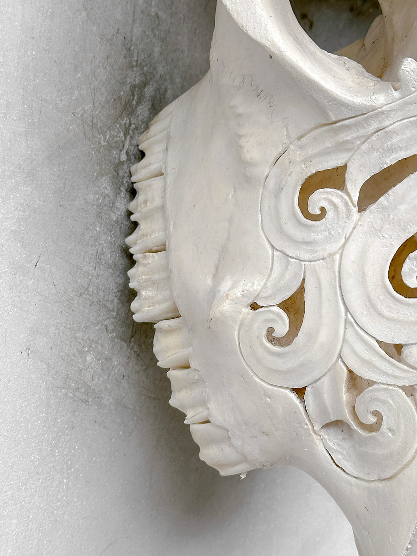 White Carved Buffalo Skulls with Flower Of Life motif | Skull,A/177