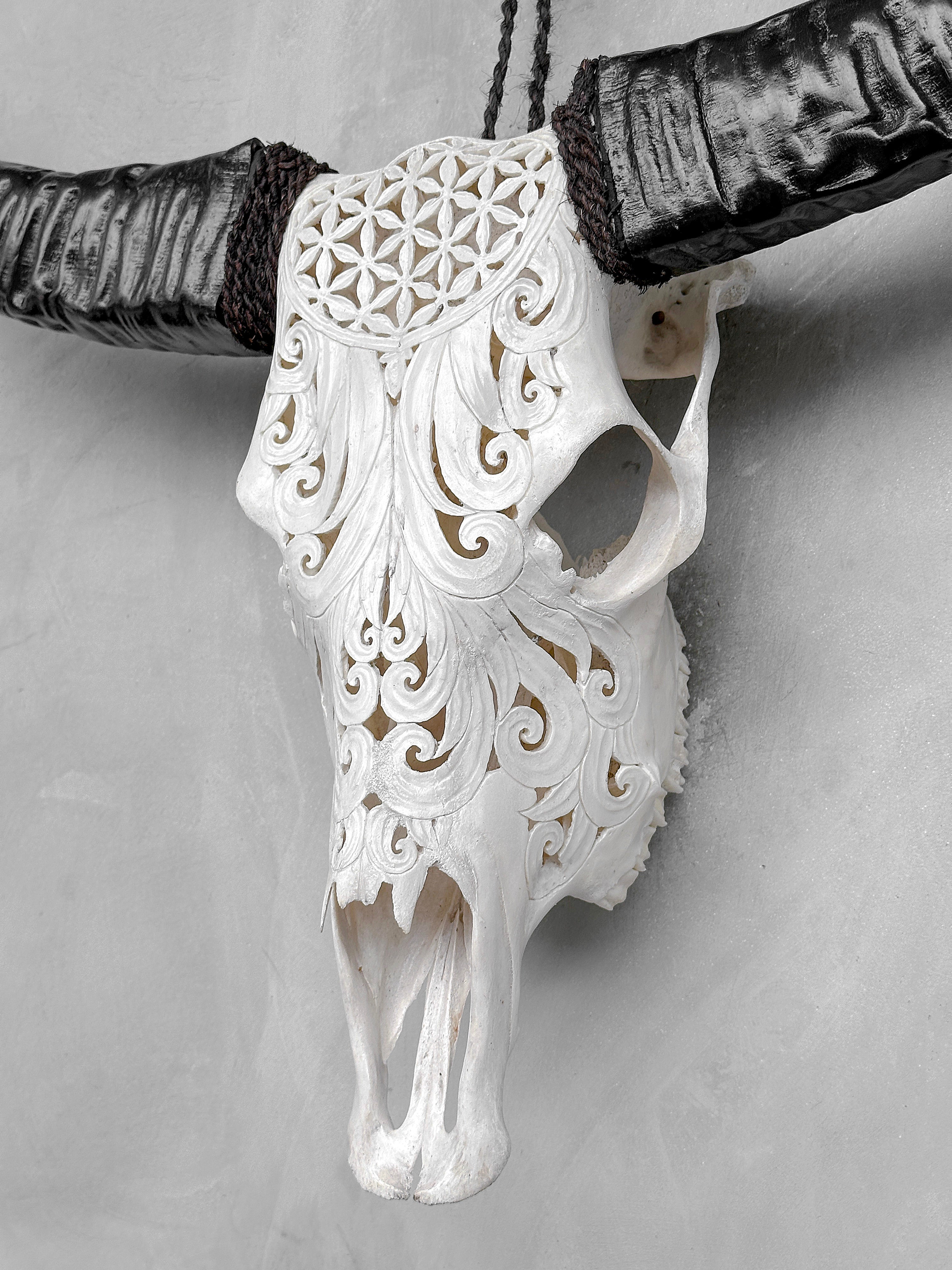 White Carved Buffalo Skulls with Flower Of Life motif | Skull,A/177