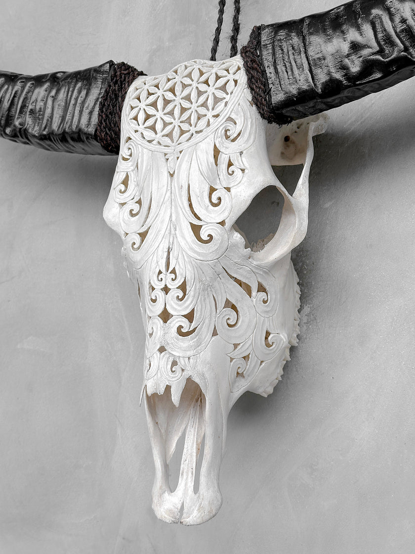 White Carved Buffalo Skulls with Flower Of Life motif | Skull,A/177