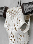 White Carved Buffalo Skulls with Flower Of Life motif | Skull,A/177