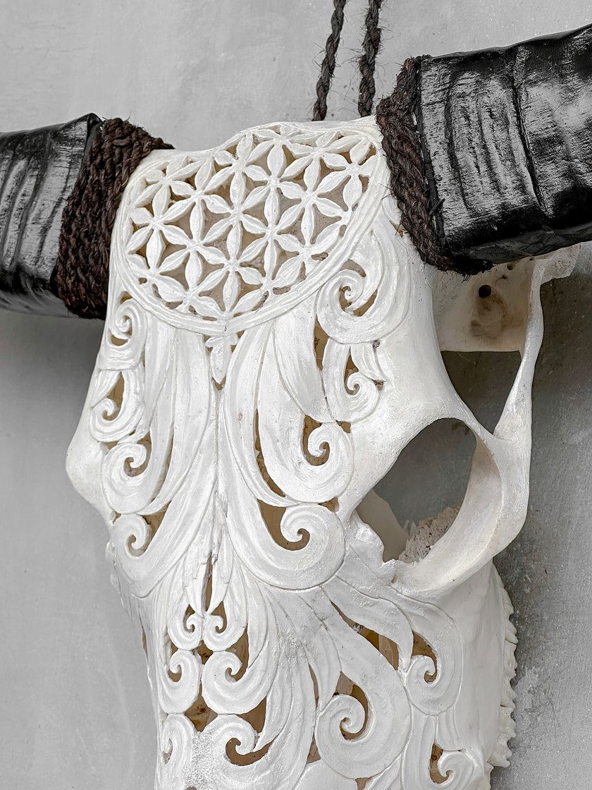 White Carved Buffalo Skulls with Flower Of Life motif | Skull,A/177