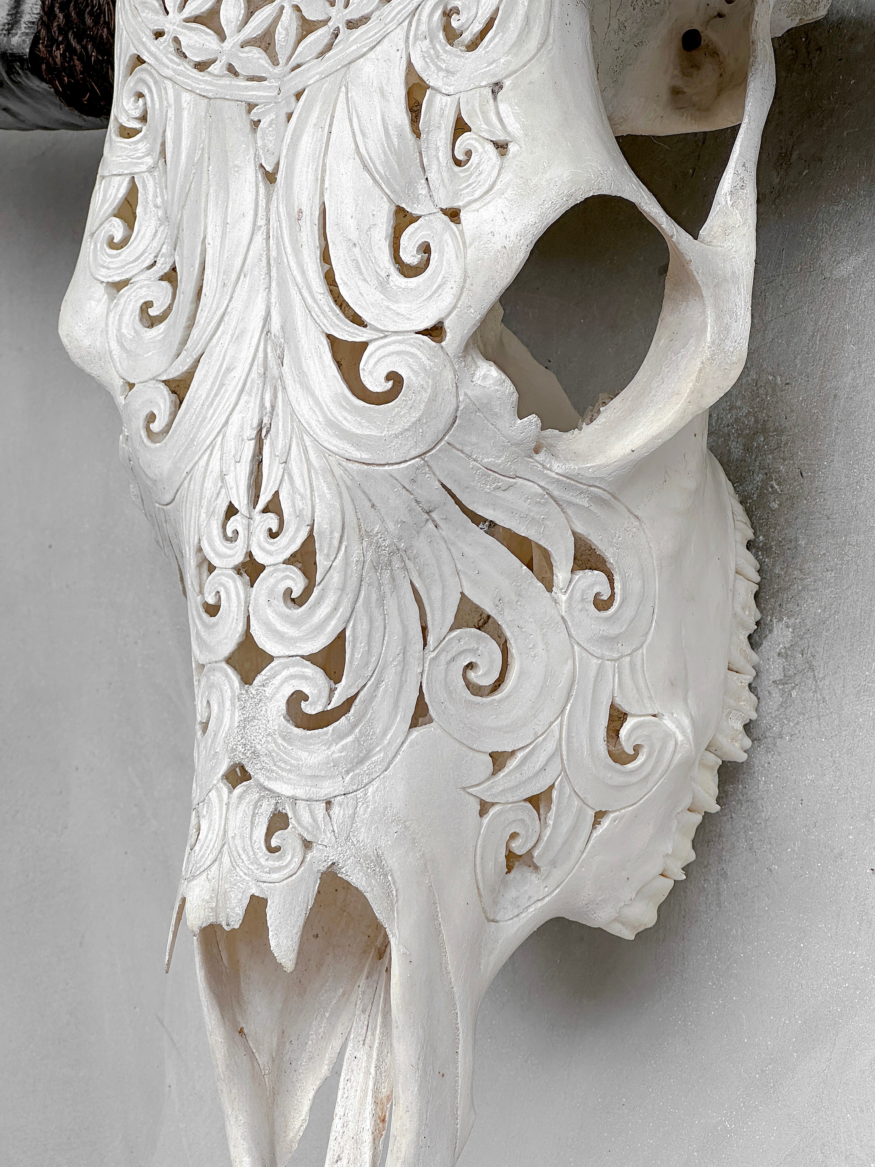 White Carved Buffalo Skulls with Flower Of Life motif | Skull,A/177
