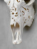 White Carved Buffalo Skulls with Flower Of Life motif | Skull,A/177