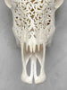 White Carved Cow Skull With Turqoise Accents - Star mandala motif | Skull,A/138