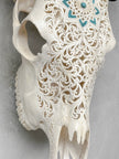 White Carved Cow Skull With Turqoise Accents - Star mandala motif | Skull,A/138