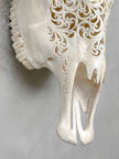 White Carved Cow Skull With Turqoise Accents - Star mandala motif | Skull,A/138