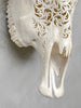 White Carved Cow Skull With Turqoise Accents - Star mandala motif | Skull,A/138