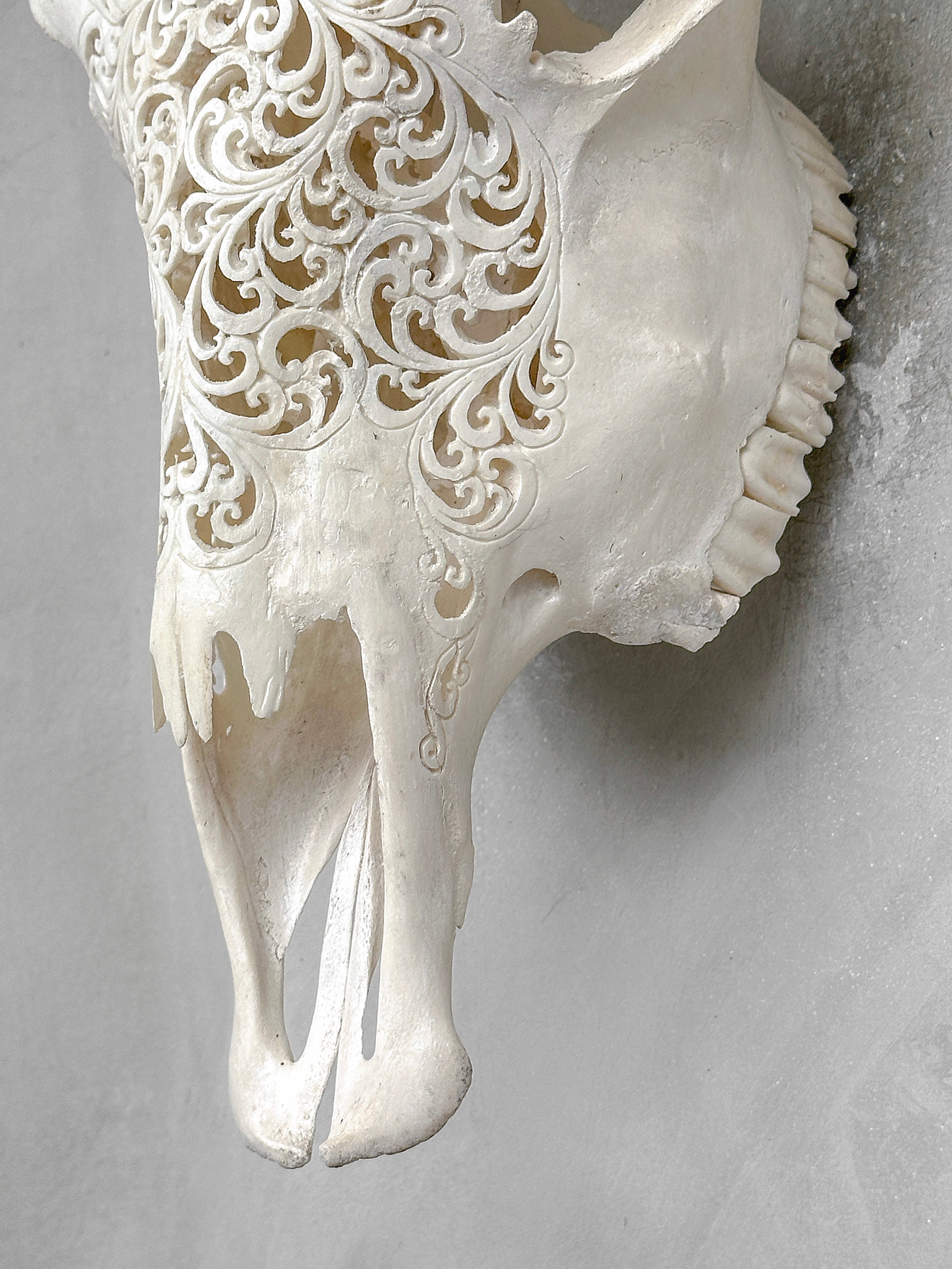 White Carved Cow Skull With Turqoise Accents - Star mandala motif | Skull,A/138
