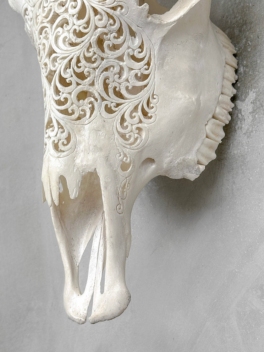 White Carved Cow Skull With Turqoise Accents - Star mandala motif | Skull,A/138