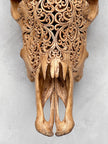 Brown Carved Cow Skull With Turqoise Accents - Star Mandala motif | Skull,A/142