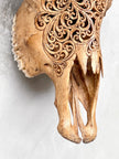 Brown Carved Cow Skull With Turqoise Accents - Star Mandala motif | Skull,A/142