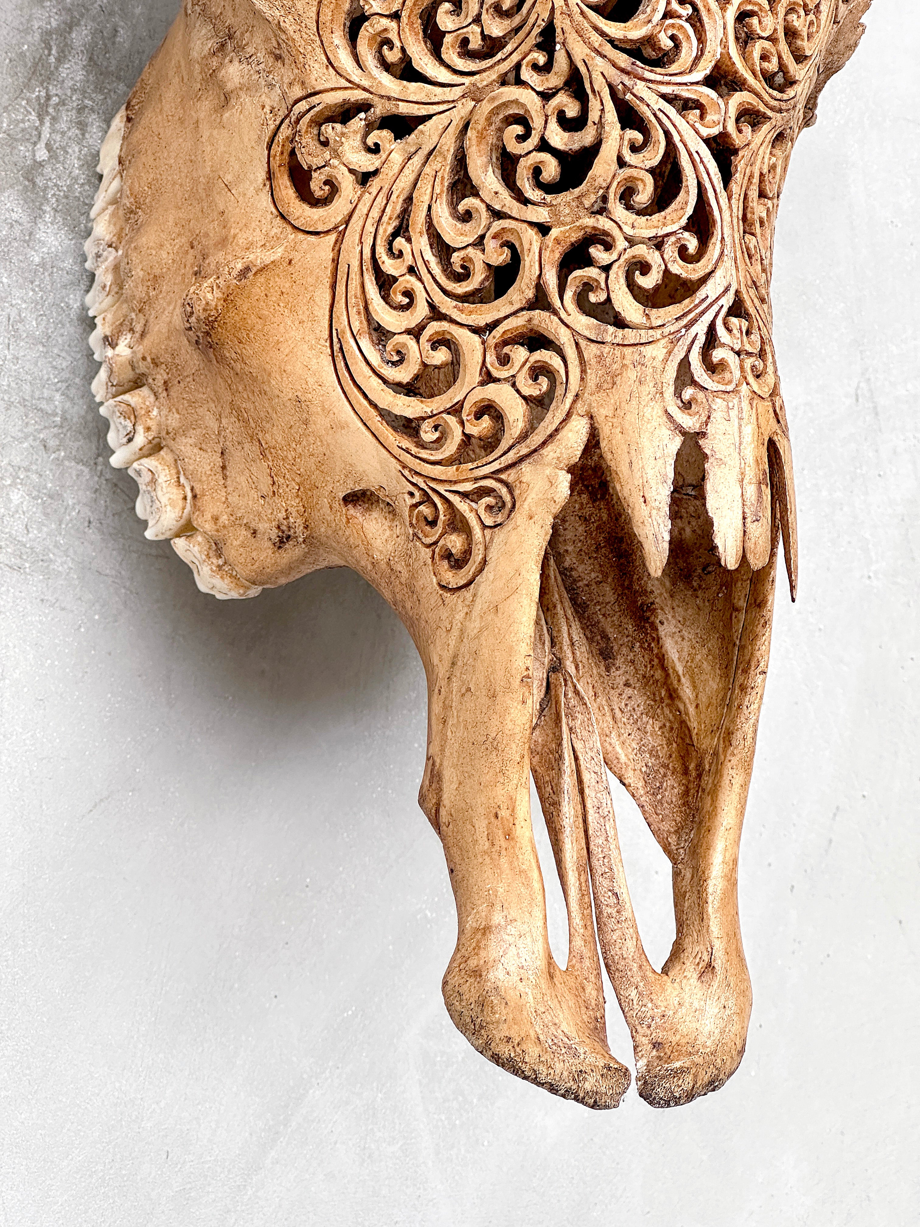 Brown Carved Cow Skull With Turqoise Accents - Star Mandala motif | Skull,A/142