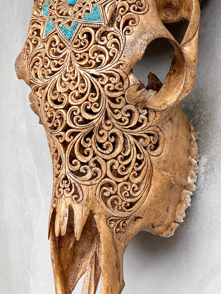 Brown Carved Cow Skull With Turqoise Accents - Star Mandala motif | Skull,A/142