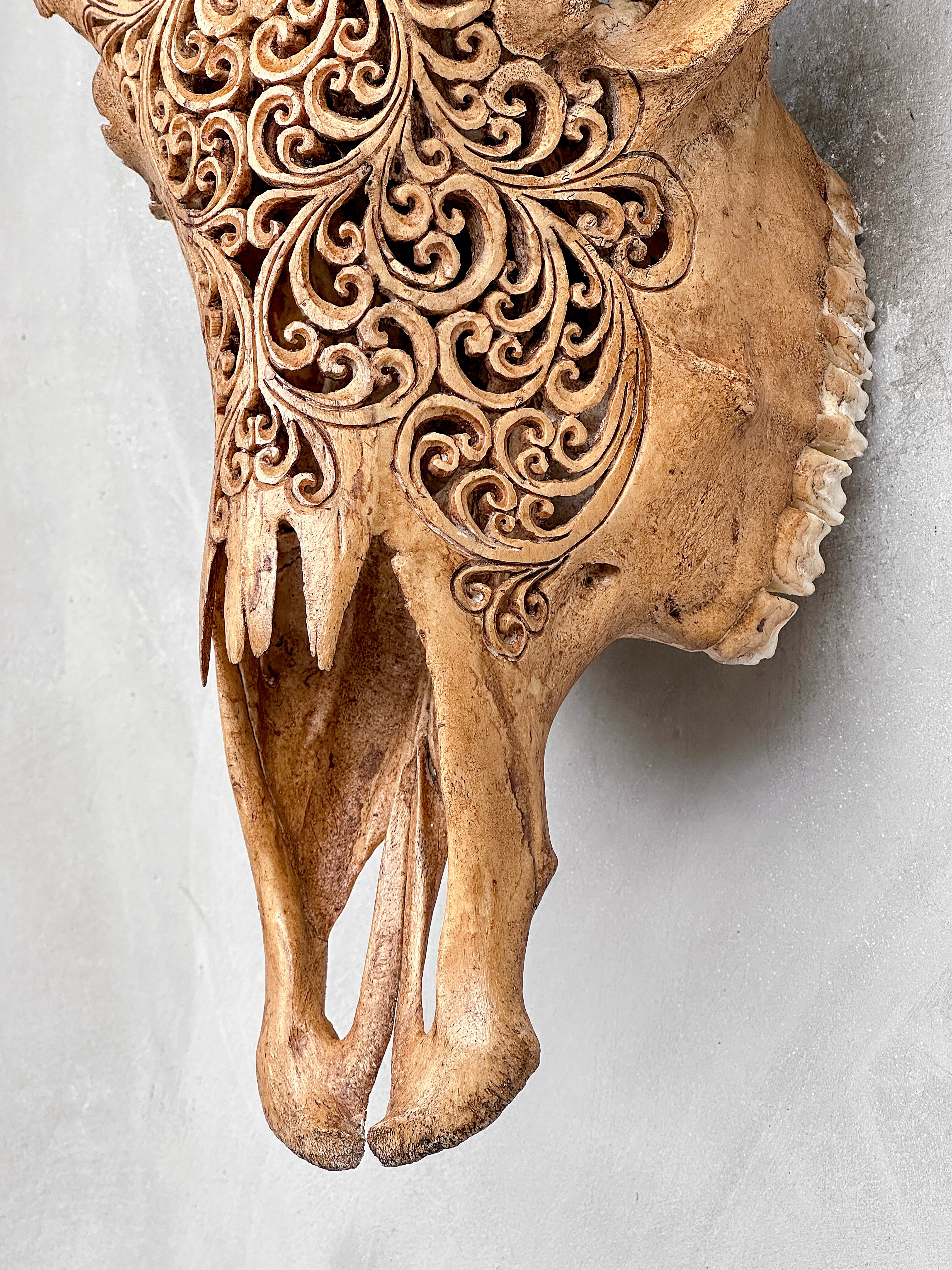 Brown Carved Cow Skull With Turqoise Accents - Star Mandala motif | Skull,A/142