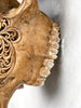 Brown Carved Cow Skull With Turqoise Accents - Star Mandala motif | Skull,A/142