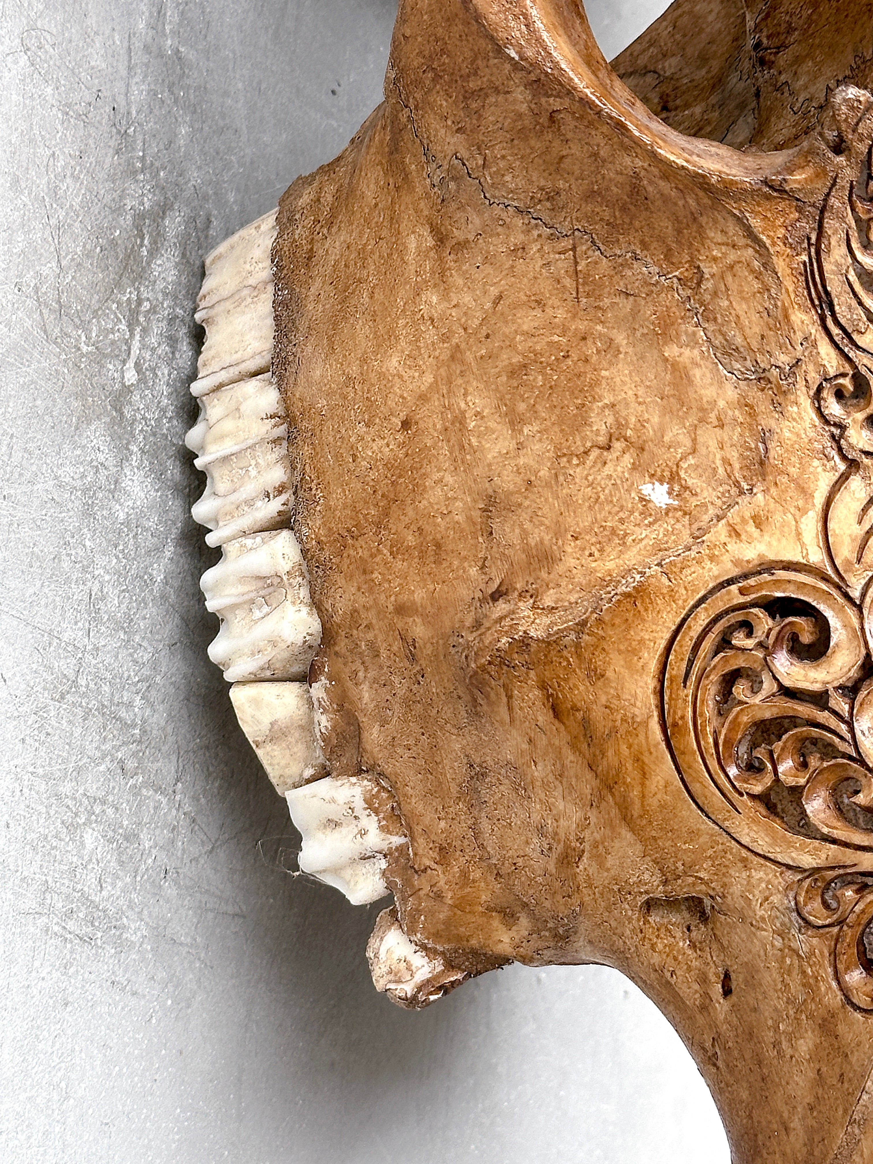 Brown Carved Cow Skull With Turqoise Accents - Ketupat motif | Skull,A/141
