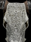 Grey Carved Buffalo Skull – Fern Motif | Real Bone Wall Art with Horns | Tribal Skull Decor | Handmade & Ethically Sourced from Bali - Skull,A/111