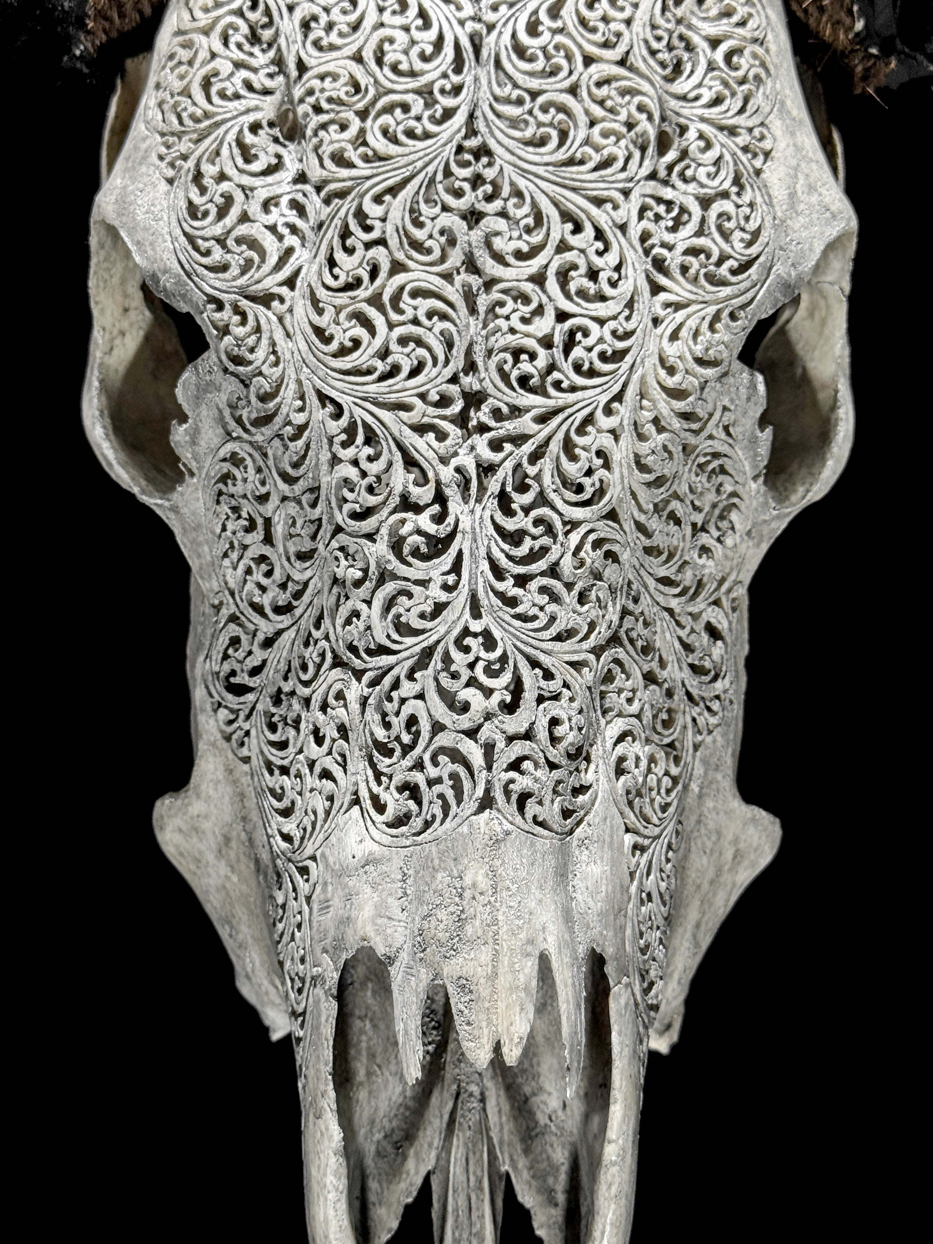 Grey Carved Buffalo Skull – Fern Motif | Real Bone Wall Art with Horns | Tribal Skull Decor | Handmade & Ethically Sourced from Bali - Skull,A/111