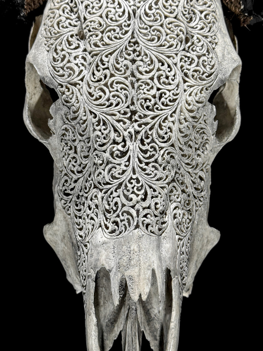 Grey Carved Buffalo Skulls with fern motif | Skull,A/111