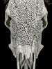 Grey Carved Buffalo Skull – Fern Motif | Real Bone Wall Art with Horns | Tribal Skull Decor | Handmade & Ethically Sourced from Bali - Skull,A/111