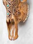 Brown Carved Cow Skull With Turqoise Accents - Ketupat motif | Skull,A/141