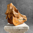 Carved Wild Boar Tribal carving N1/047