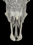 Grey Carved Buffalo Skull – Fern Motif | Real Bone Wall Art with Horns | Tribal Skull Decor | Handmade & Ethically Sourced from Bali - Skull,A/111