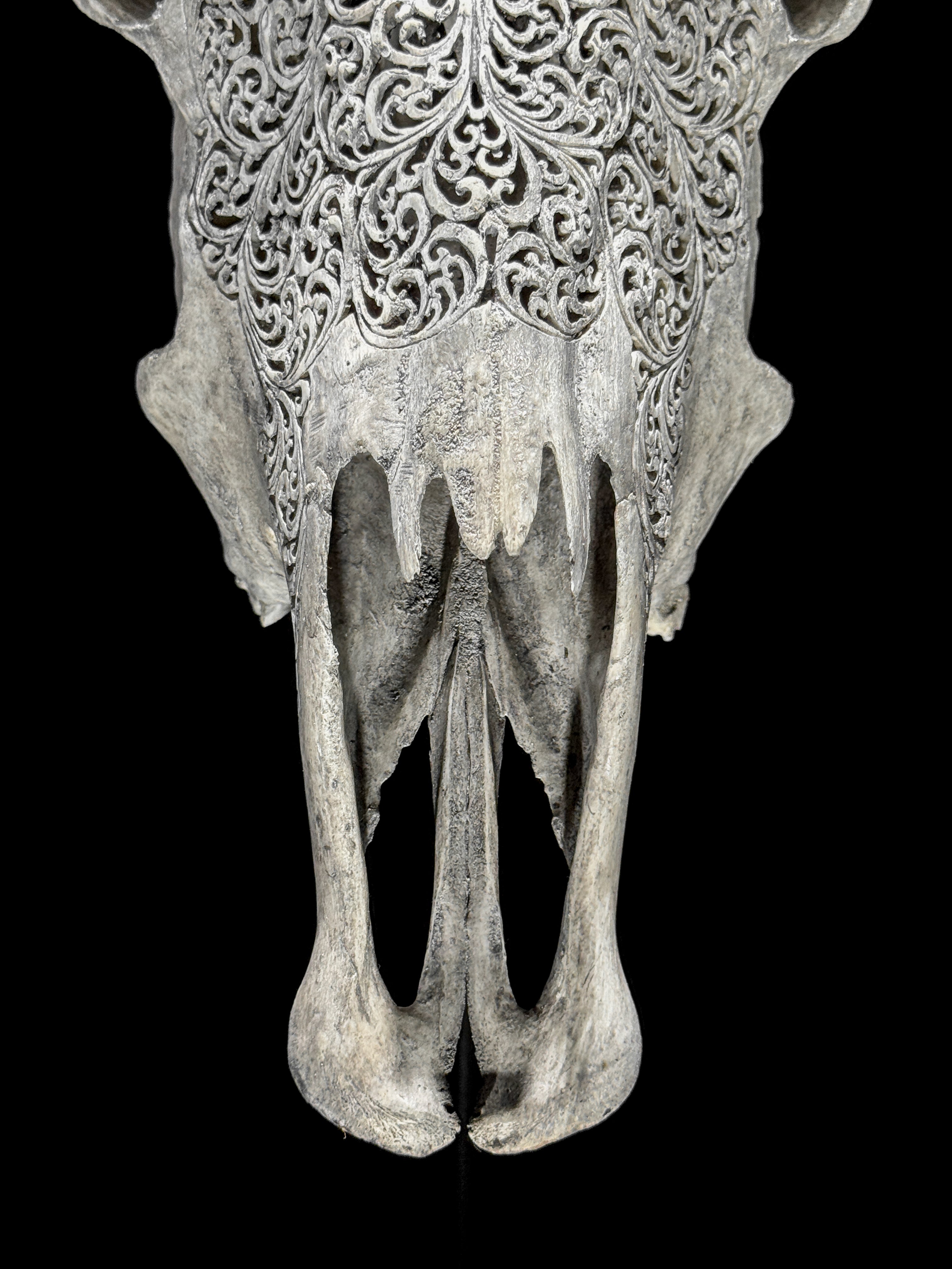 Grey Carved Buffalo Skull – Fern Motif | Real Bone Wall Art with Horns | Tribal Skull Decor | Handmade & Ethically Sourced from Bali - Skull,A/111